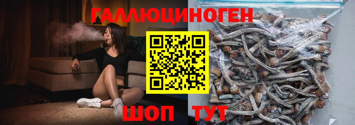 Галлюциногенные грибы ЛСД  Вход с VPN  где купить наркотик  Галлюциногенные грибы прущие грибы  Красноуфимск 